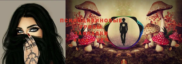 трава Киренск